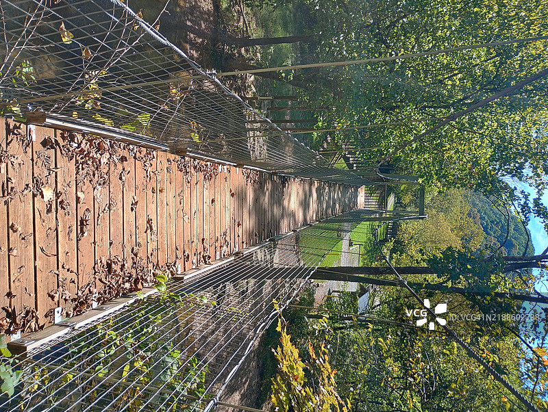 森林中空荡荡的步道，位于弗吉尼亚州，黎巴嫩图片素材