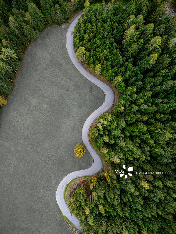 树木间的道路鸟瞰图，施拉德明，施蒂利亚，奥地利图片素材