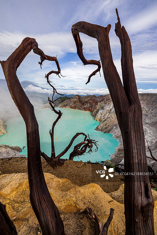 扭曲的矮树生长在伊真火山的边缘，俯瞰着下面的碧绿色硫磺湖。该火山位于印度尼西亚爪哇岛的班尤旺宜县和邦多沃索县之间。它于2023年成为联合国教科文组织全球地质公园的一部分。图片素材
