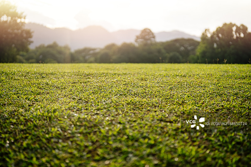 夕阳下的绿草与山脉背景图片素材