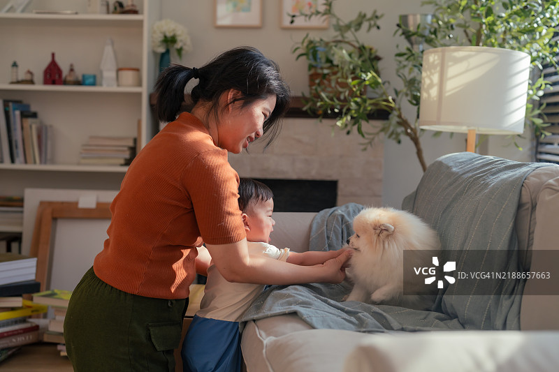 可爱的亚洲家庭，帅气的小男孩和妈妈在客厅里与他的狗玩耍。可爱的男孩们在家中与他们的博美犬朋友玩耍和亲密互动，充满快乐。图片素材