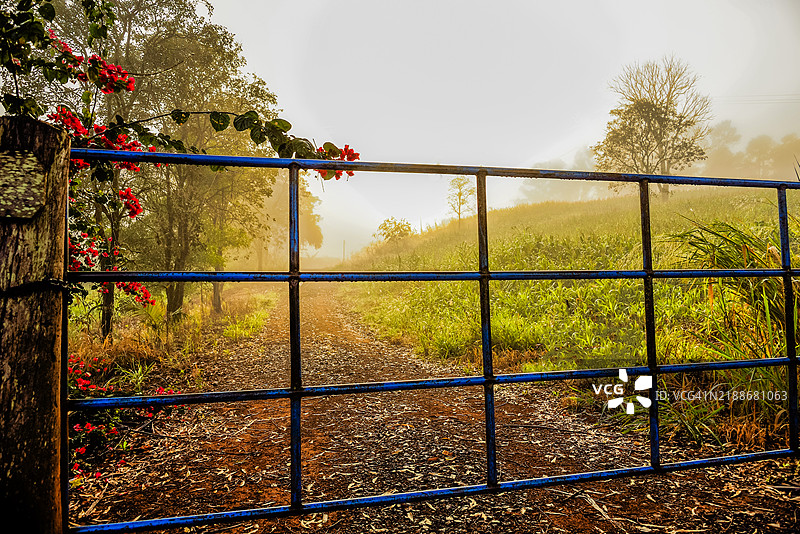巴西隆德里纳的农业农场图片素材
