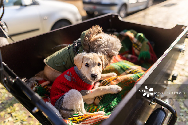 朋友们在城市里骑着货运自行车图片素材