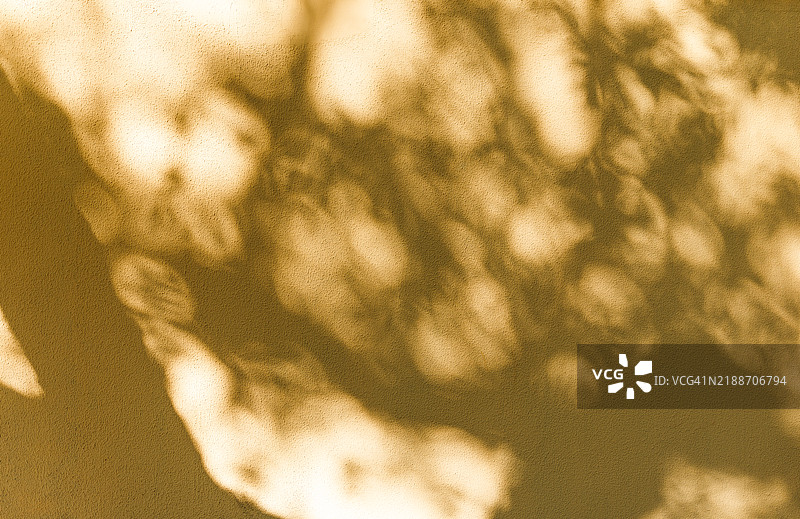 秋天树影映在黄色墙壁上图片素材