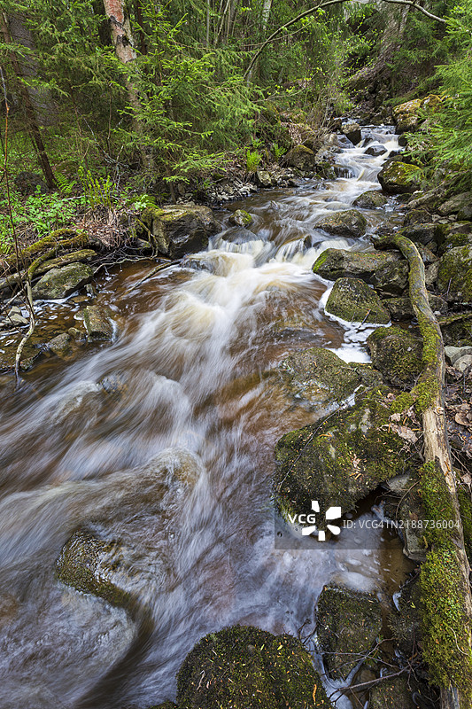 芬兰坦佩雷郁郁葱葱的森林中，夏季或秋季的小溪或河流。图片素材
