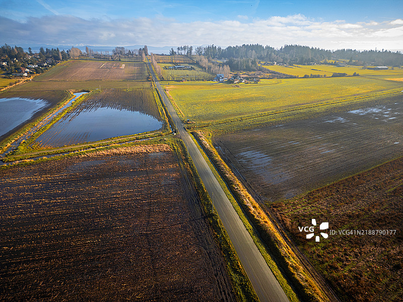 温哥华岛被淹没的农田鸟瞰图图片素材