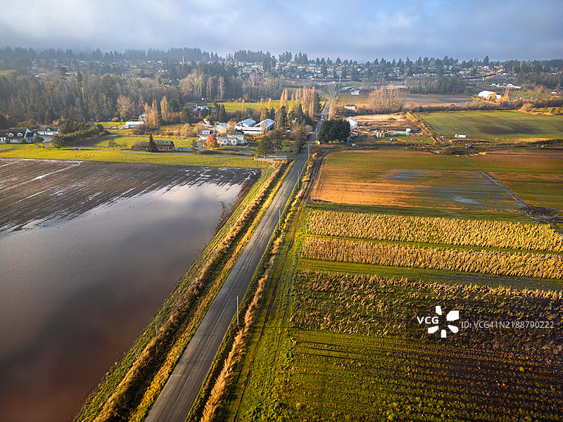 温哥华岛被淹没的农田鸟瞰图图片素材