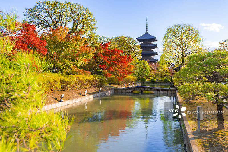 京都秋季五重塔与五彩斑斓的枫树美景图片素材
