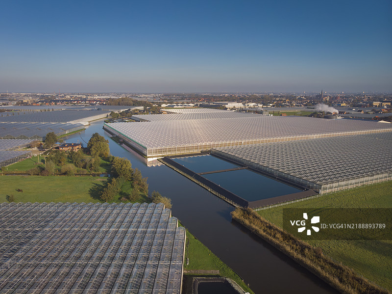 荷兰现代农业温室的鸟瞰图图片素材