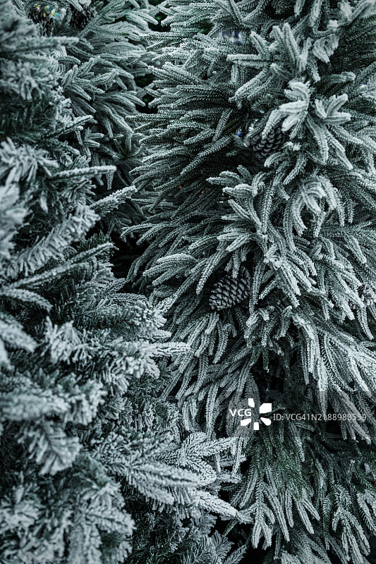 装饰华丽的圣诞树特写，节日快乐，圣诞装饰图片素材