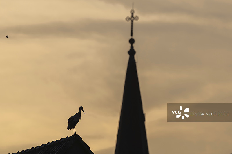 一只鸟栖息在建筑物的屋顶上。天空多云，阳光明媚。图片素材