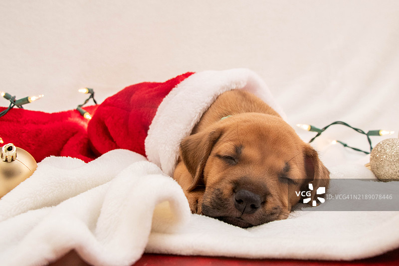 穿着长袜睡觉图片素材