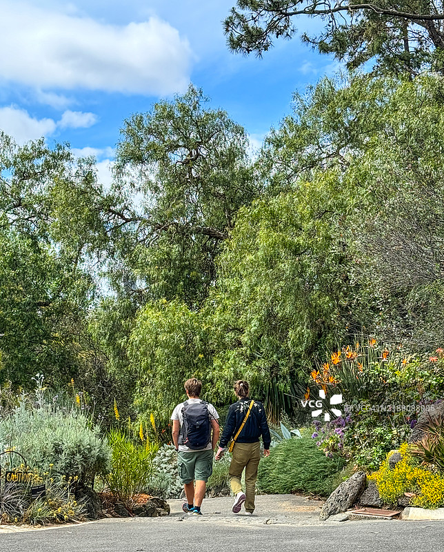 在墨尔本皇家植物园的小径上散步的情侣图片素材
