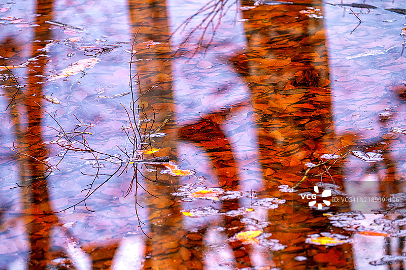 冬天已经开始，但雪和冰还没有到来。图片素材