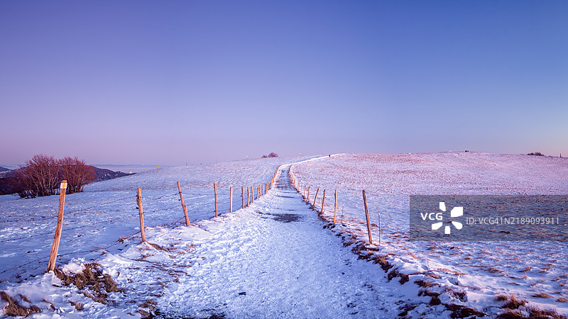 在阿尔萨斯的巴隆达尔萨峰顶，黄昏蓝色时刻的雪覆盖的牧场和秸秆间的徒步小径全景，位于弗朗什-孔泰地区的沃日山脉 - 东法。图片素材
