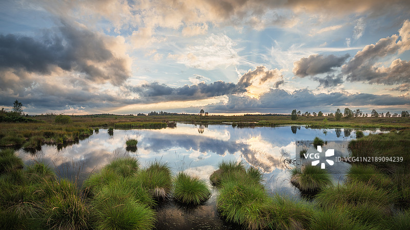 高芬高原(Hautes Fagnes)的大型池塘或泥炭沼泽全景,水面平静,夕阳下水中倒映着水生植物和云彩,位于高芬-艾菲尔自然公园,列日省,比利时阿登地区,瓦隆大区,比利时。图片素材