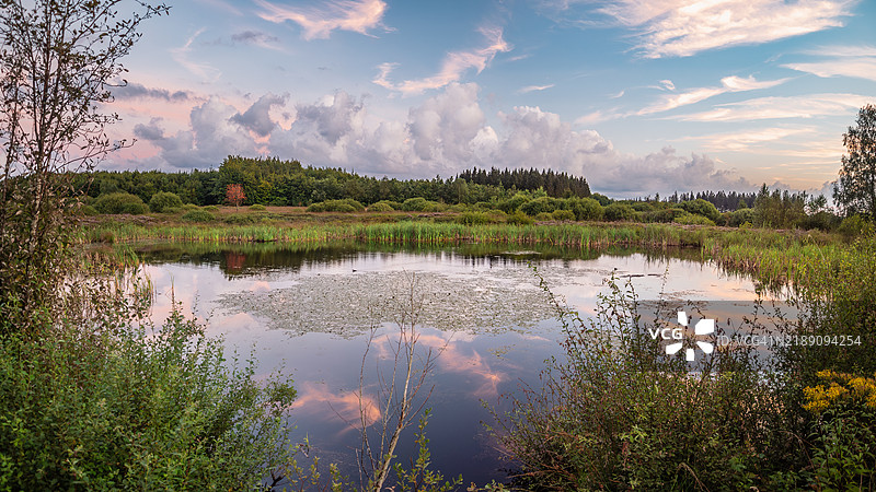 黄昏时分,蓝色时刻的宁静池塘和泥炭沼泽景观,位于比利时阿登山脉的高沼泽高原(Hautes Fagnes),高沼泽-艾菲尔自然公园 - 列日省 - 瓦隆 - 比利时。图片素材