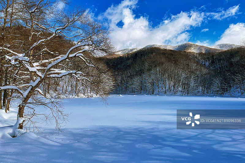 马贺里泽沼泽的雪景图片素材