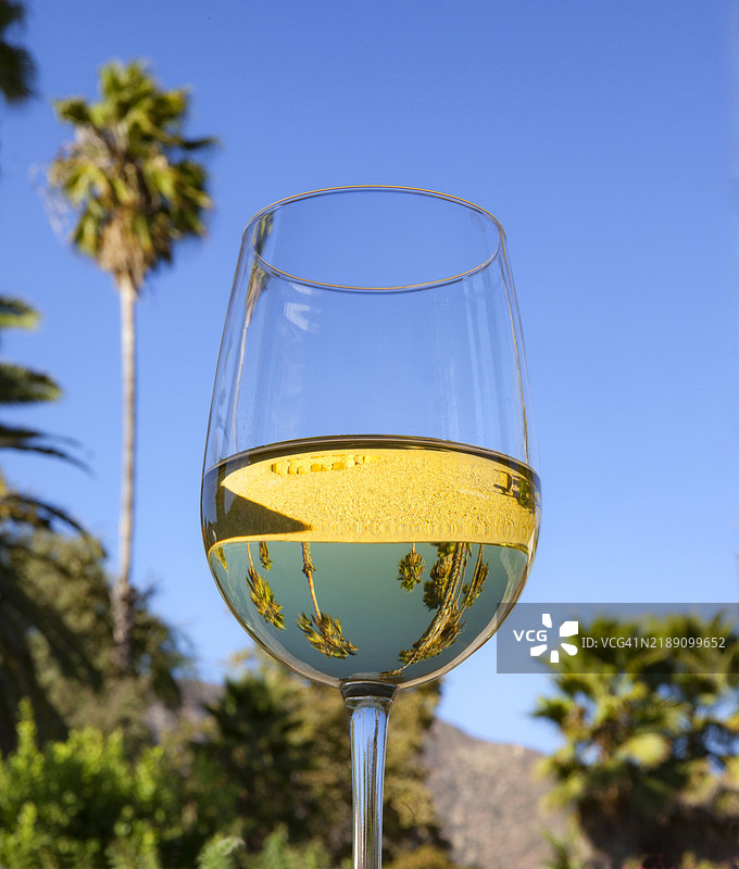 白葡萄酒杯映照着棕榈树 - 系列的一部分图片素材