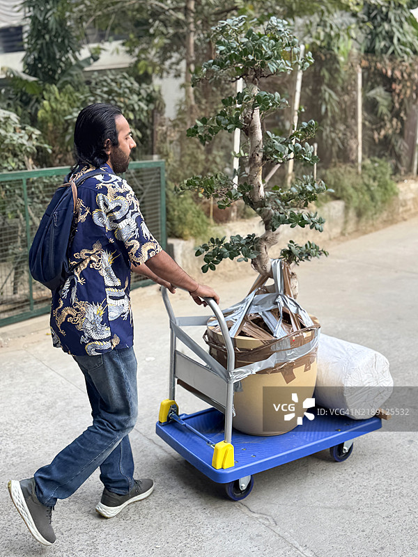 印度男子在混凝土街道上推着平板手推车，运输着一棵S型树干的无花果盆景（榕树），大陶瓷花盆，塑料包裹的卷被，背景为住宅公寓楼，后视图，重点在前景。图片素材
