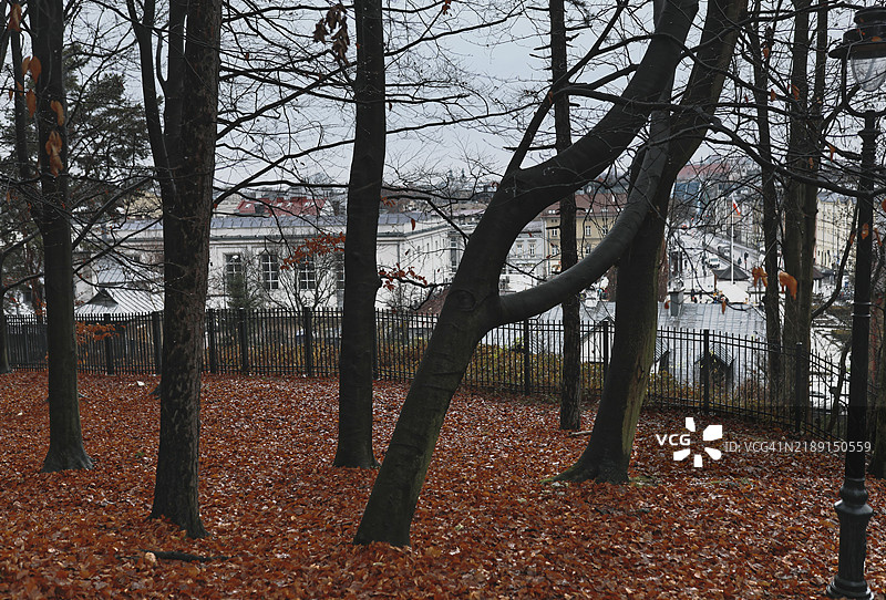 公共公园的秋天图片素材