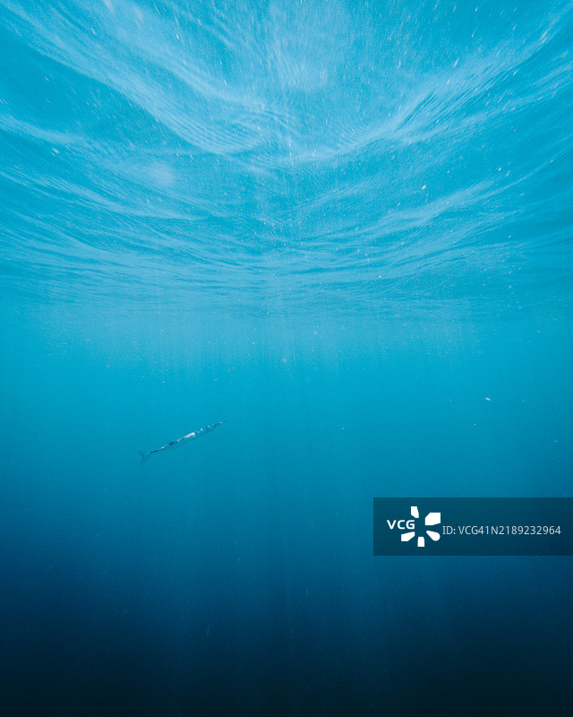 男人在海中游泳图片素材