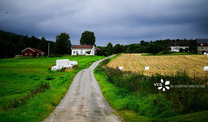 一条乡村小路穿过田野，干草卷整齐地排列着，小鸟在空中飞来飞去。图片素材