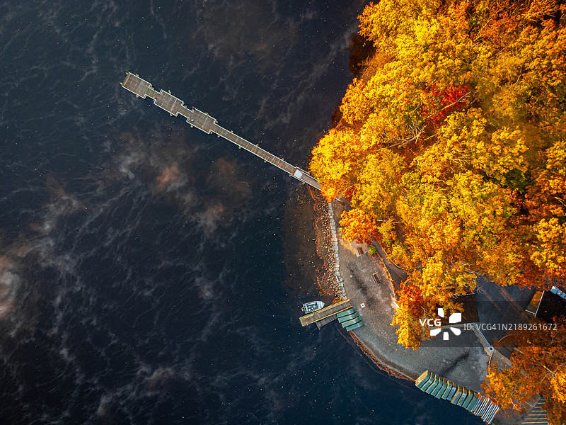 海边树木的高角度视图，弗吉尼亚州，美国图片素材