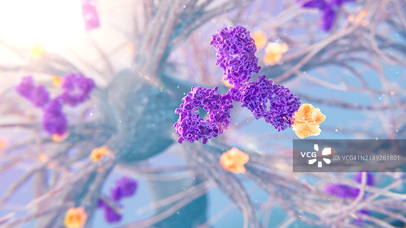 阿尔茨海默病治疗的抗淀粉样蛋白抗体插图图片素材