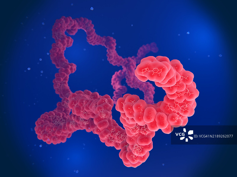 RNA分子，插图图片素材