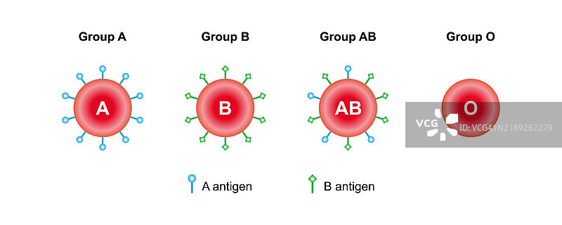 ABO血型，插图图片素材