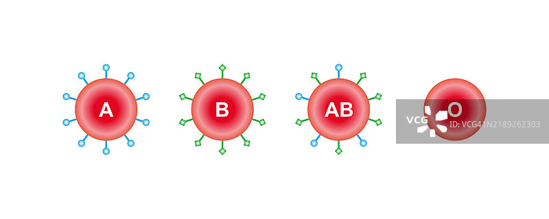 ABO血型，插图图片素材