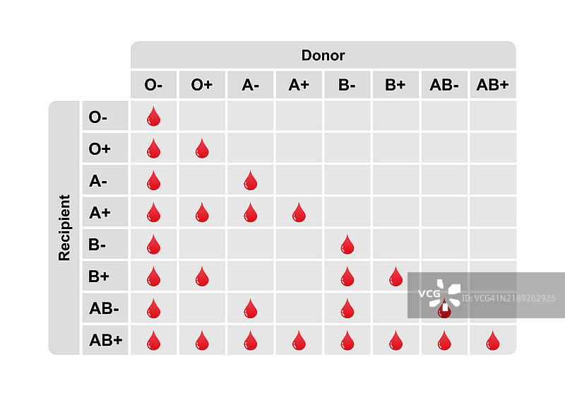 ABO血型兼容性插图图片素材