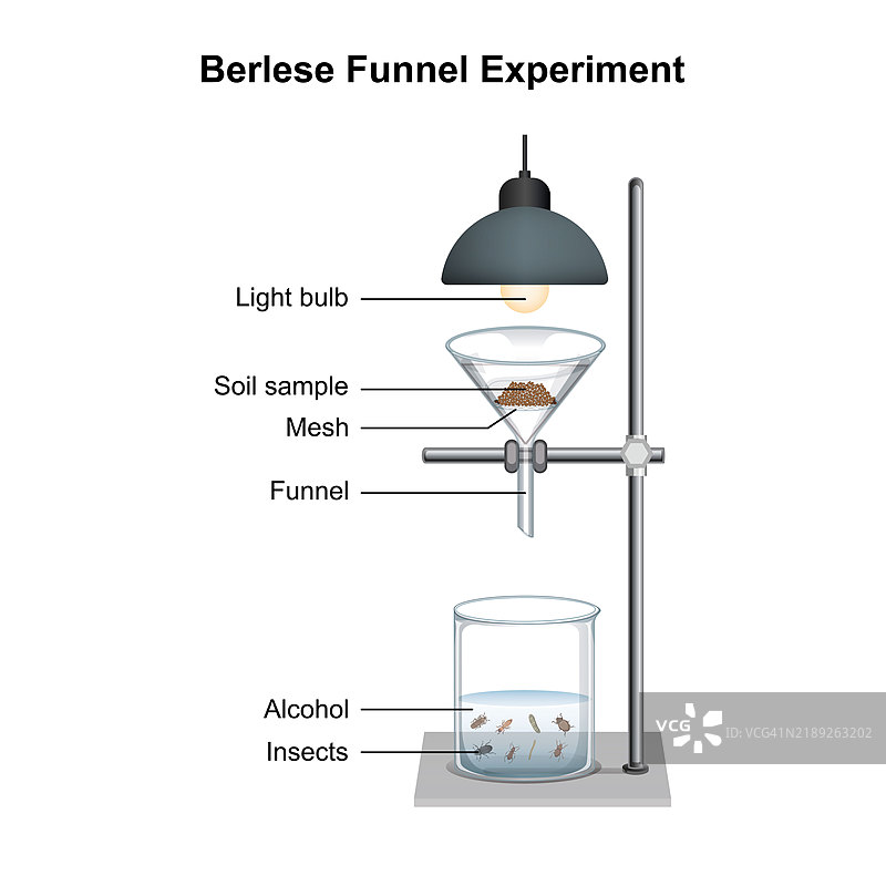 贝尔塞漏斗实验插图图片素材