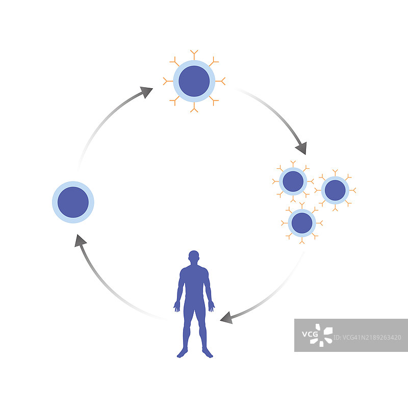CAR-T细胞疗法插图图片素材