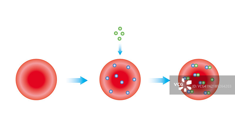 糖化血红蛋白插图图片素材