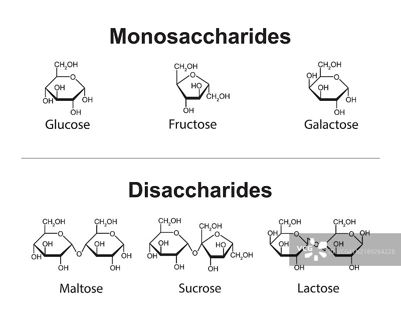 单糖和双糖的插图图片素材