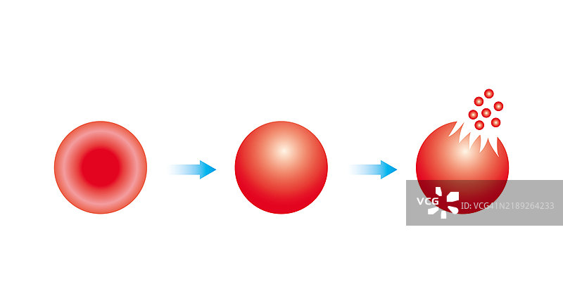 溶血，插图图片素材