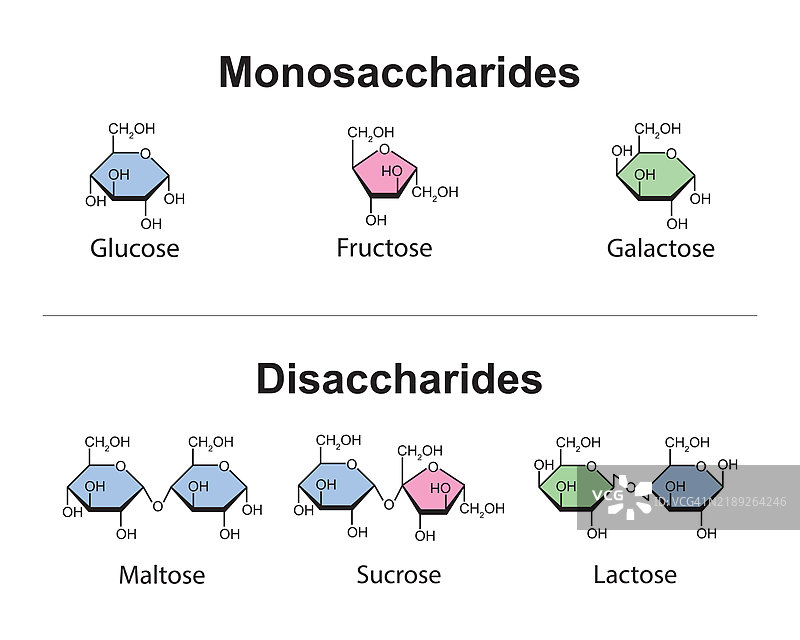 单糖和双糖的插图图片素材