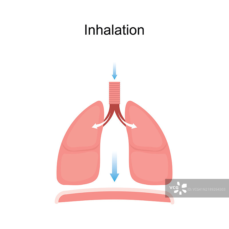 吸入，插图图片素材