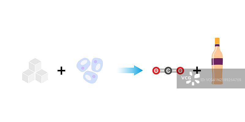 糖发酵插图图片素材