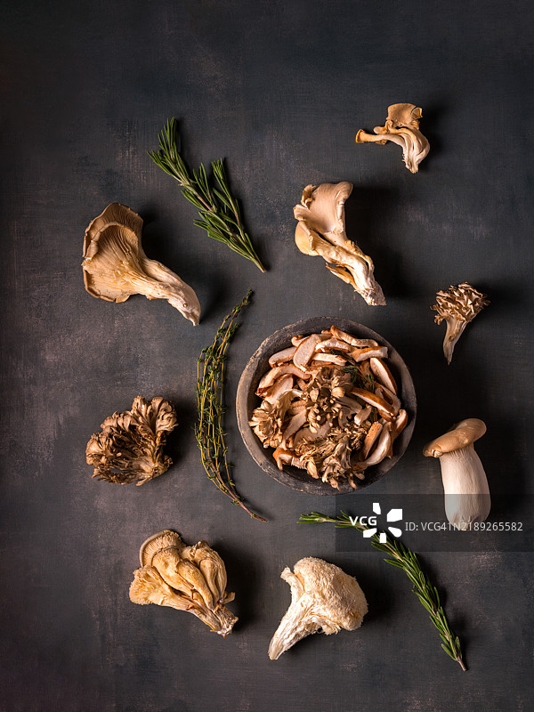 各种生鲜蘑菇和香草的俯视图，留白，弗吉尼亚州马纳萨斯，美国图片素材