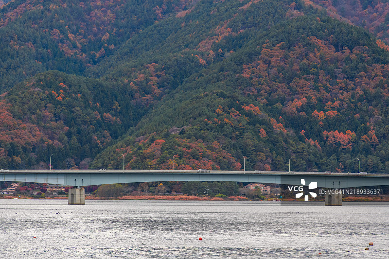 跨越日本河口湖的桥图片素材