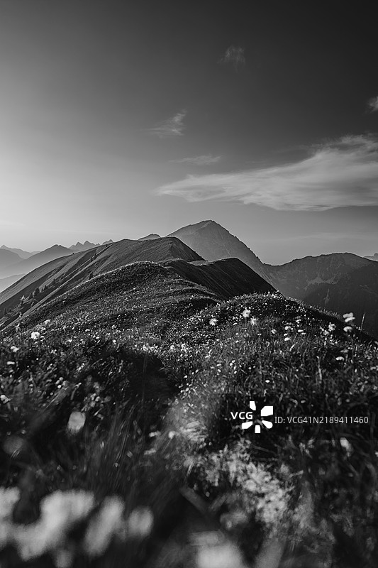 在奥地利蒂罗尔州贝尔旺附近的莱赫塔尔谷的霍尼格山徒步旅行团图片素材