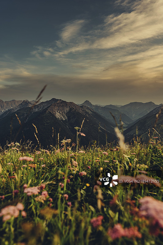 在奥地利蒂罗尔州贝尔旺附近的莱赫塔尔谷的霍尼格山徒步旅行团图片素材