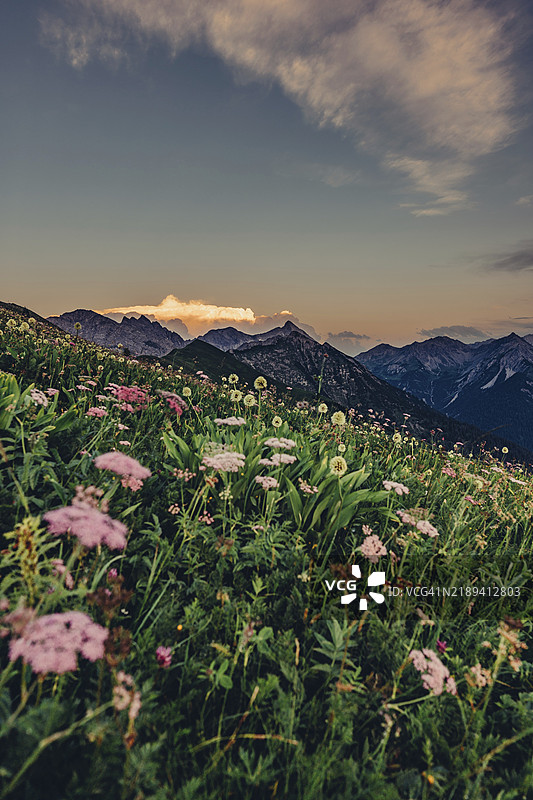 在奥地利蒂罗尔州贝尔旺附近的莱赫塔尔谷的霍尼格山徒步旅行团图片素材