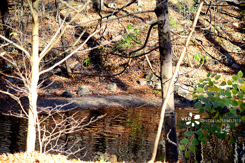 波坎蒂科河图片素材
