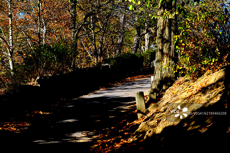 秋天的风景图片素材