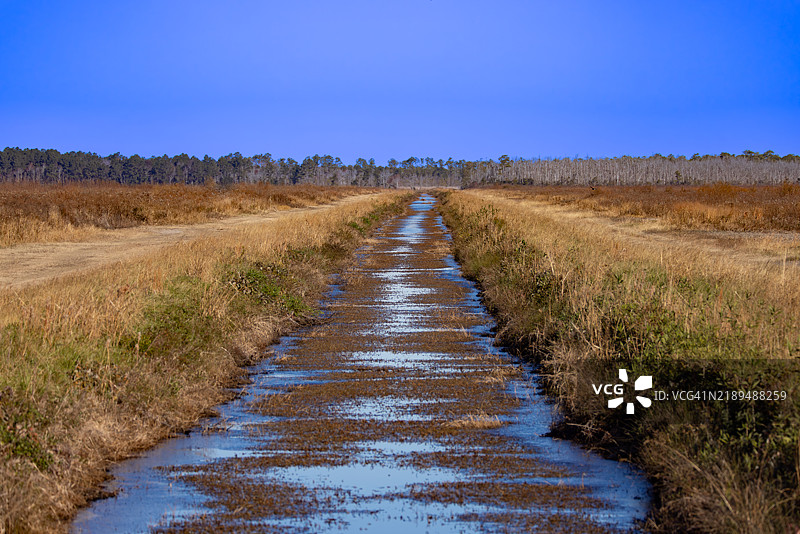 鳄鱼河国家野生动物保护区的运河图片素材