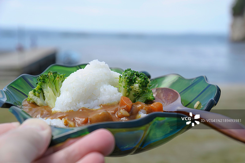 午餐是咖喱饭，上面放着海豚形状的米饭。图片素材